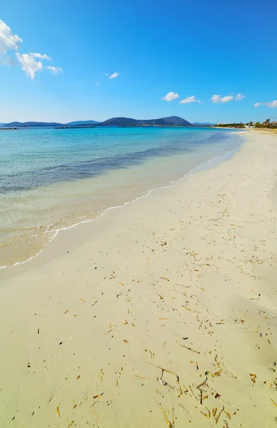 Zandige kust in Alghero — Stockfoto