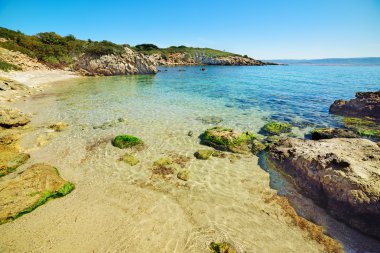 kayalar ve Sardinya temiz su