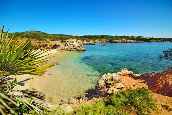 Alghero shore suda temizleyin — Stok fotoğraf