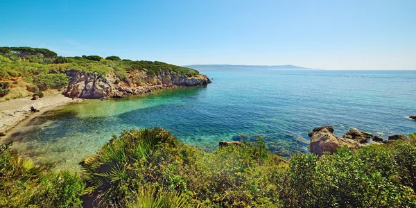 Berrak su Sardinya — Stok fotoğraf