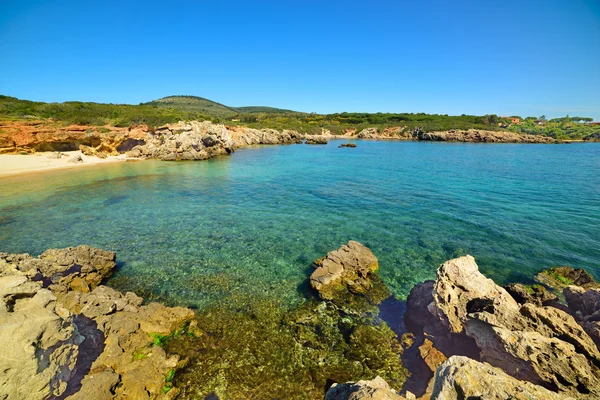 Sardinya altın kum ve kaya — Stok fotoğraf