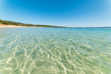 berrak su Lazzaretto Beach