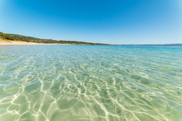 Čistá voda v Lazzaretto beach — Stock fotografie