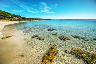 berrak su Alghero'da