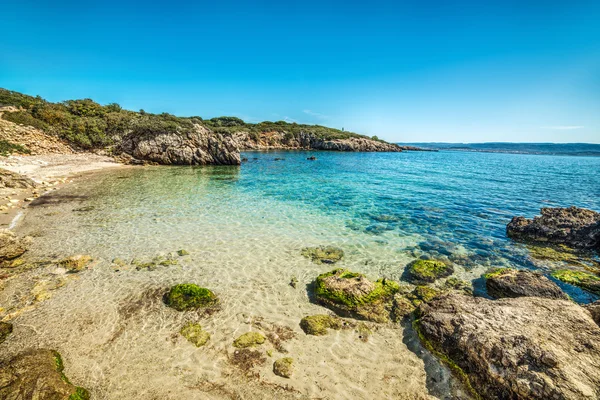 Sardinya küçük bir koyda turkuaz su