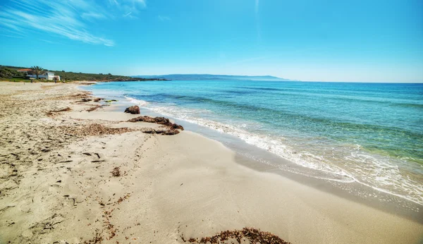 Le Bombarde beach shoreline