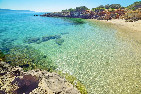 Turkost vatten i Sardinien — Stockfoto