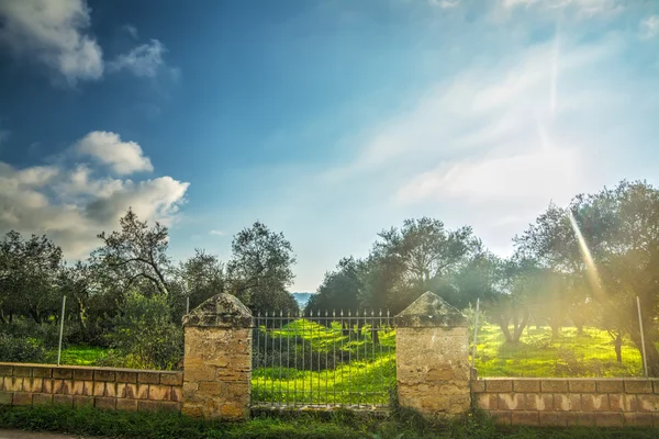 Kovový plot na venkově — Stock fotografie