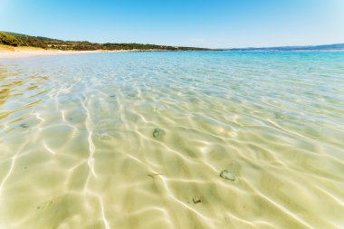 kristal berraklığında su Lazzaretto Beach