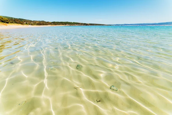 kristal berraklığında su Lazzaretto Beach