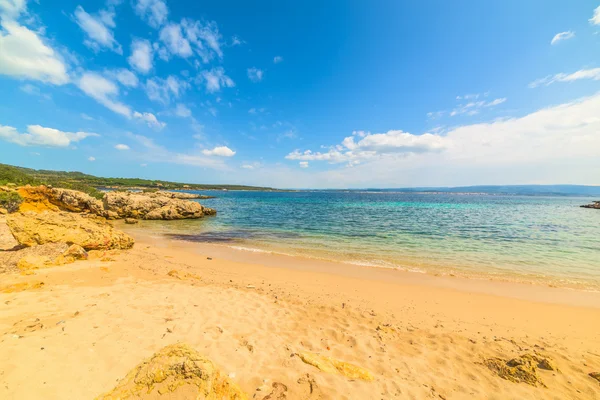 Sabbia dorata in Sardegna — Foto Stock