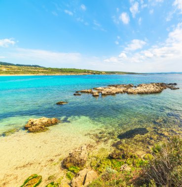 kayalar ve turkuaz su küçük bir koy