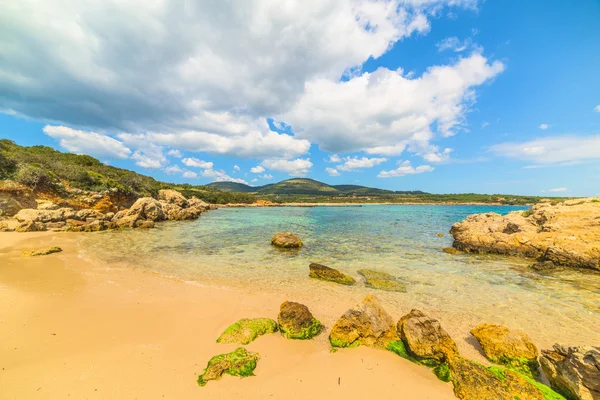 Costa dorada en Alghero — Foto de Stock