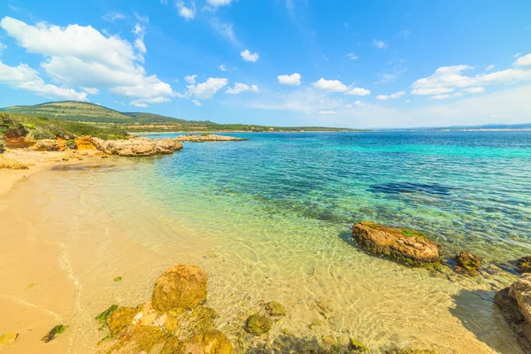 Acque turchesi ad Alghero — Foto Stock