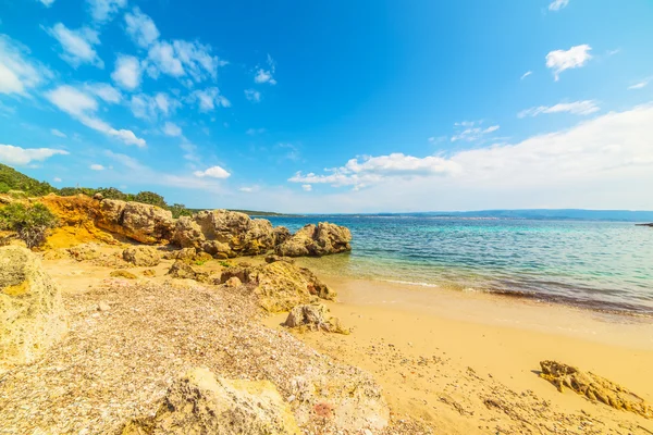 Alghero'da altın kum ve sarı kaya