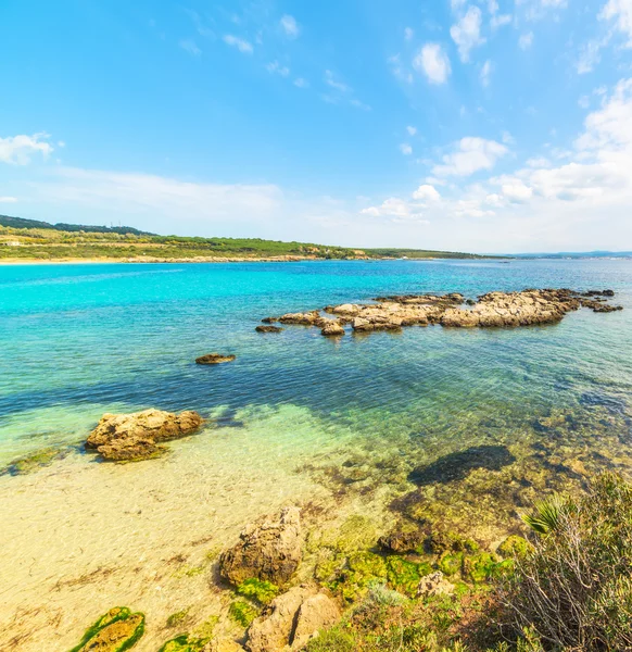 kayalar ve turkuaz su küçük bir koy