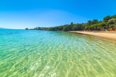 Mavi deniz, Sardinya