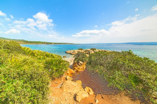 アルゲーロのカラフルな海の風景 — ストック写真