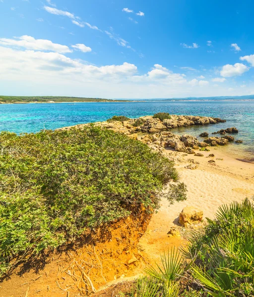 avuç içi ve kayalar denizin kenarında