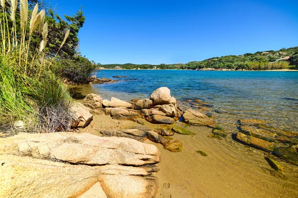 Strand Von Liscia Vacca Italien — Stockfoto