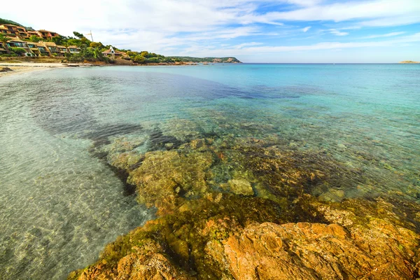 Strand Van Piccolo Pevero Italië — Stockfoto