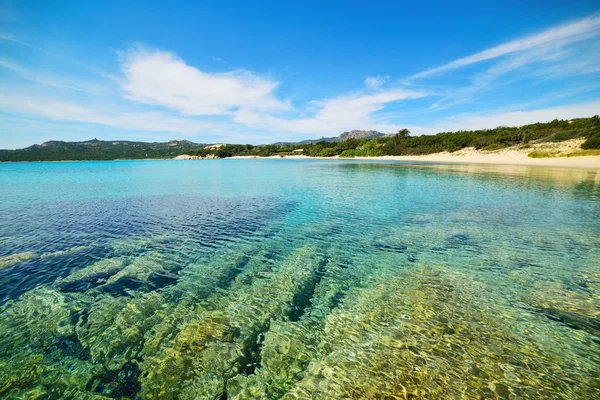 Playa Celvia Italia — Foto de Stock