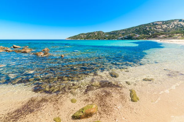 Cala Battistoni Açık Bir Günde Sardunya — Stok fotoğraf