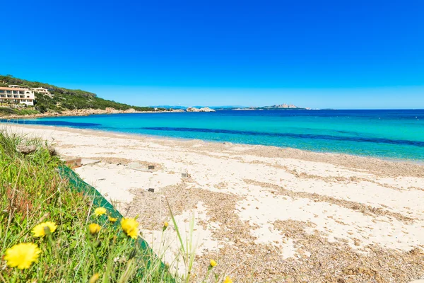 Cala Battistoni Manzarası Sardunya — Stok fotoğraf