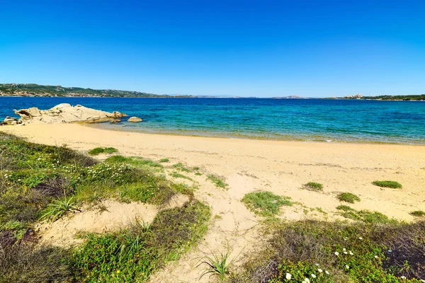Cala dei Ginepri açık bir günde, Sardunya