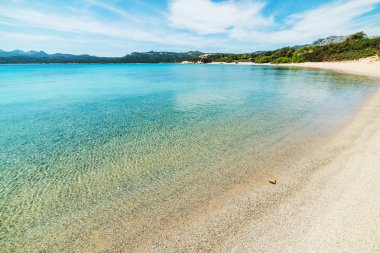 La Celvia Sahili, İtalya