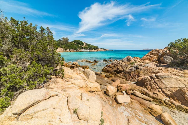 Batu Dan Tanaman Pantai Capriccioli Italia — Stok Foto