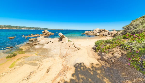 Cala Dei Ginepri Sardegna — Foto Stock