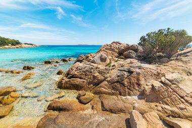 Capriccioli sahil sarı kayalarda