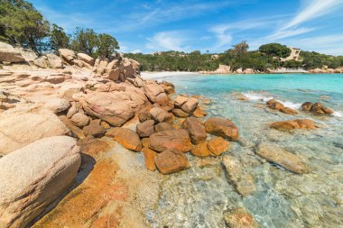 kayalar ve temiz su Capriccioli Beach