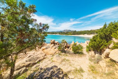 bitkiler ve kayalar La Celvia Beach