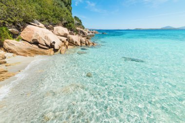 Kristal berraklığında su Capriccioli Beach