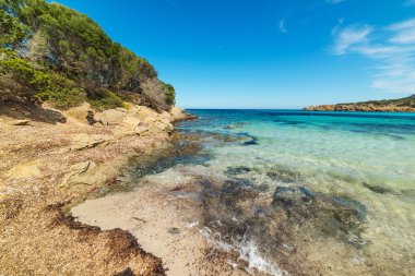 yosunlar Cala Granu Beach
