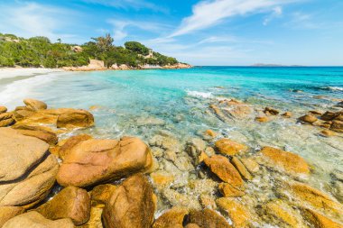 Capriccioli plaj sarı kayalarda