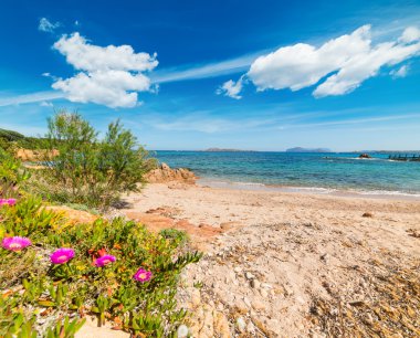 Romazzino plaj manzarası, İtalya