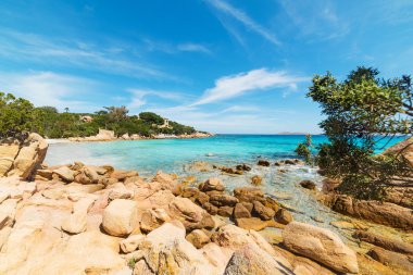 Capriccioli plaj sarı kayalarda