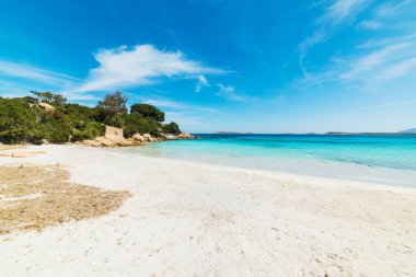 capriccioli plaj beyaz kum