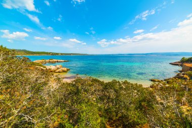 Alghero'da renkli deniz