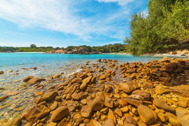 küçük bir plaj Sardinya sarı kayalarda