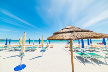 arka planda kapalı şemsiyelerle şemsiye