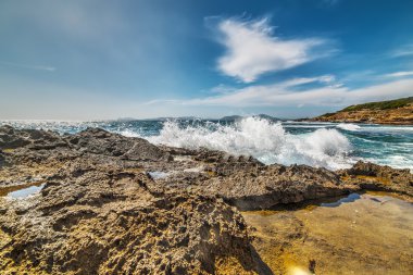 Sardinya çökmesini dalga