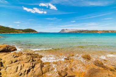 Capo Coda Cavallo içinde altın kıyı