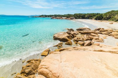 net bir gün plajda capriccioli