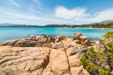 kayalar La Celvia Beach