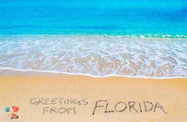 Saudações da FLorida escrito em uma praia tropical — Fotografia de Stock