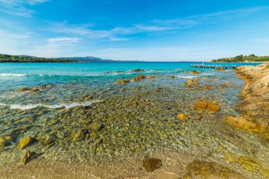 Rena Bianca kıyı suda temizleyin